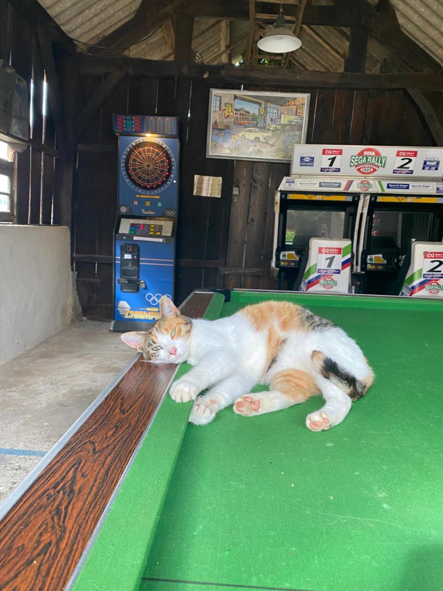 Camping La Ferme De Perdigat Limeuil Ngoại thất bức ảnh