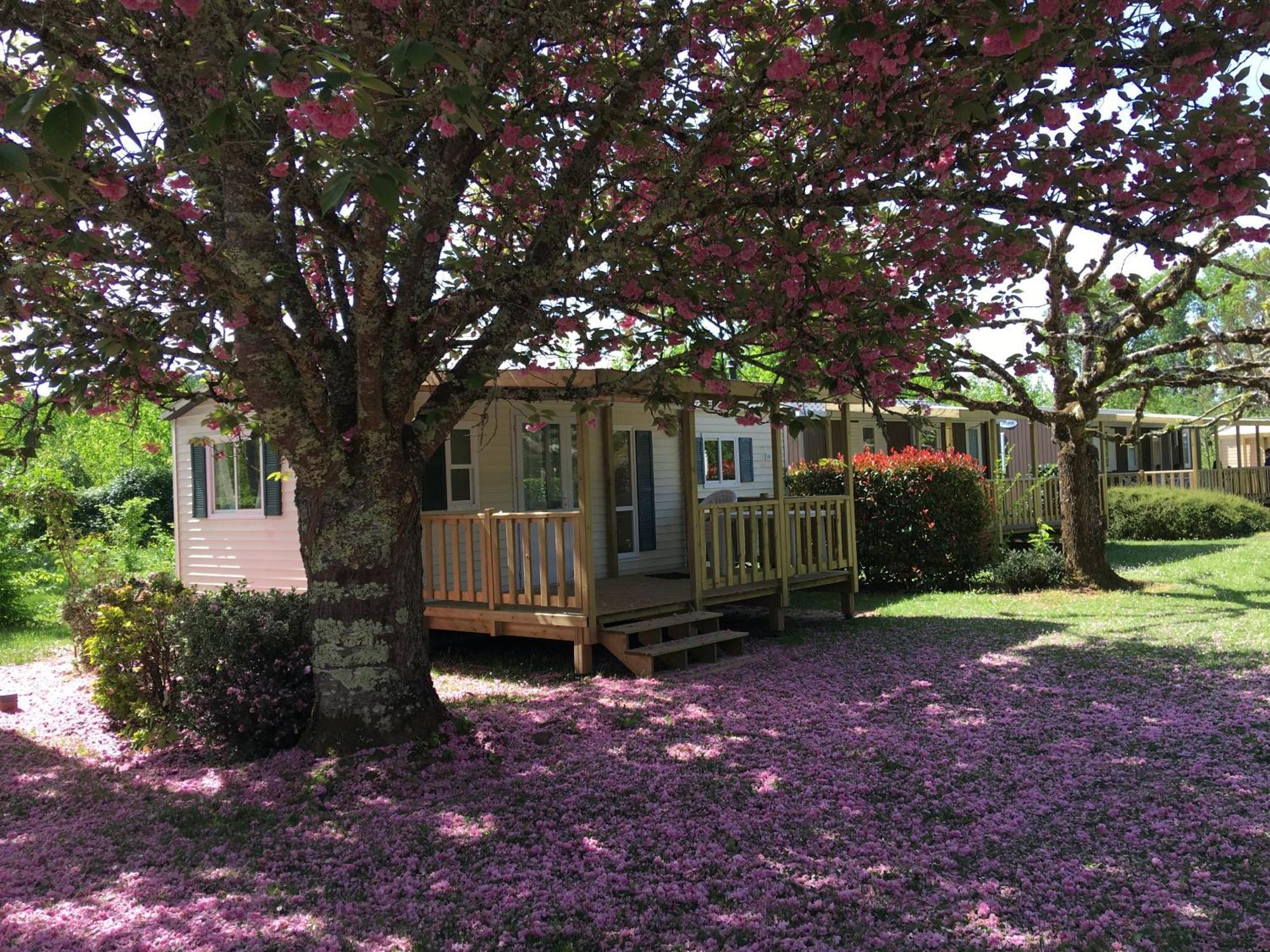 Camping La Ferme De Perdigat Limeuil Ngoại thất bức ảnh